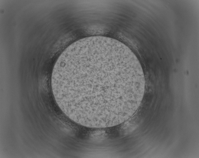 X0000077310162200611031649