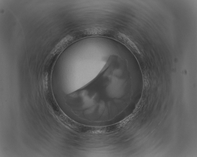 X0000077310163200611031649