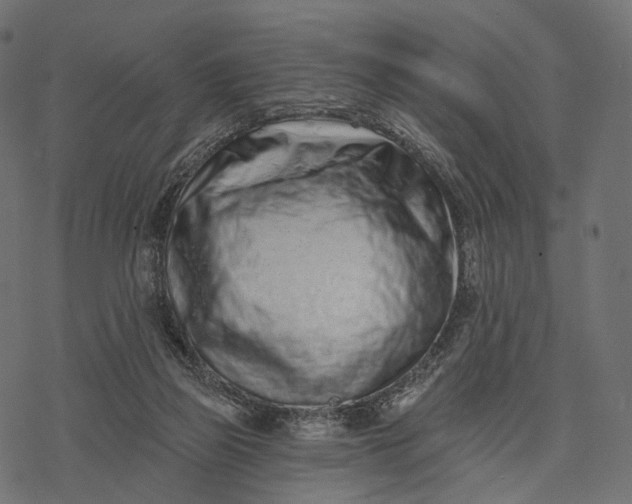 X0000077310165200611031649