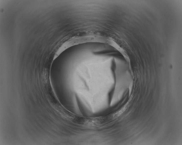 X0000077310174200611031649