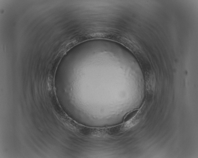 X0000077310175200611031649