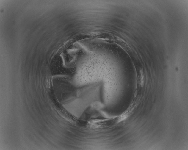 X0000077310180200611031649