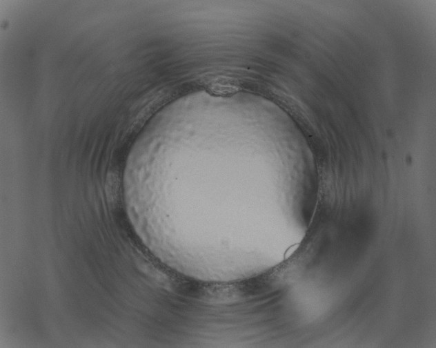 X0000077310189200611031650