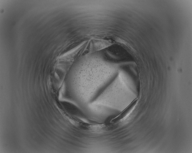 X0000077310192200611031650