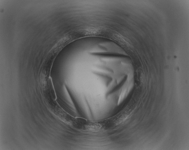 X0000077310215200611031648