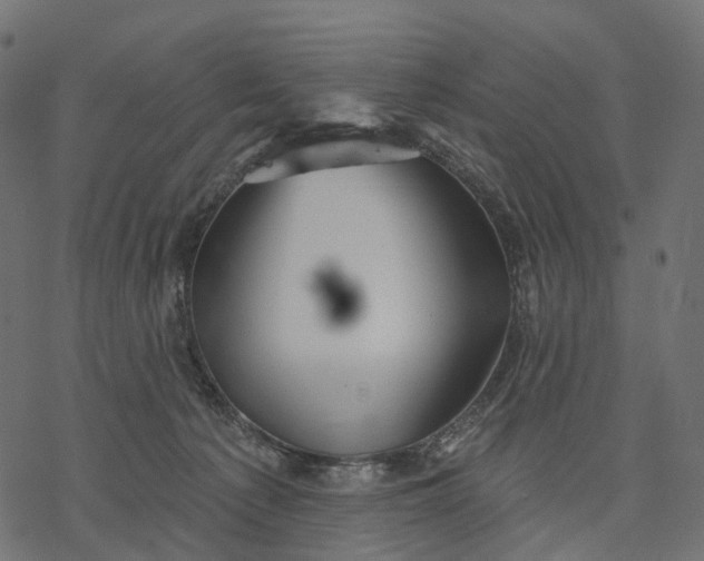 X0000077310225200611031648