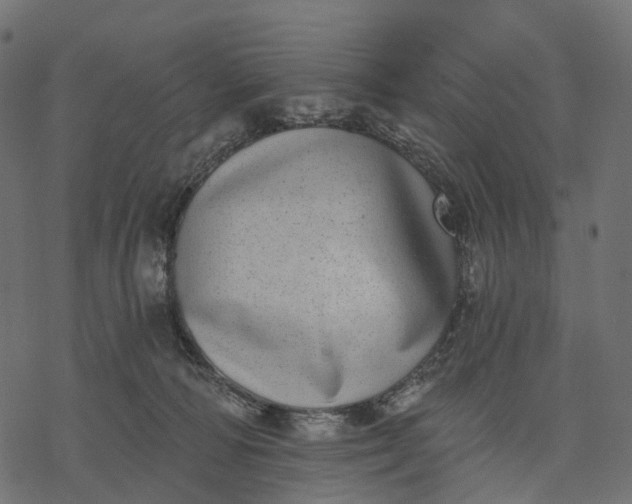 X0000077310226200611031648