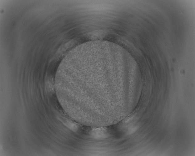 X0000077310240200611031648