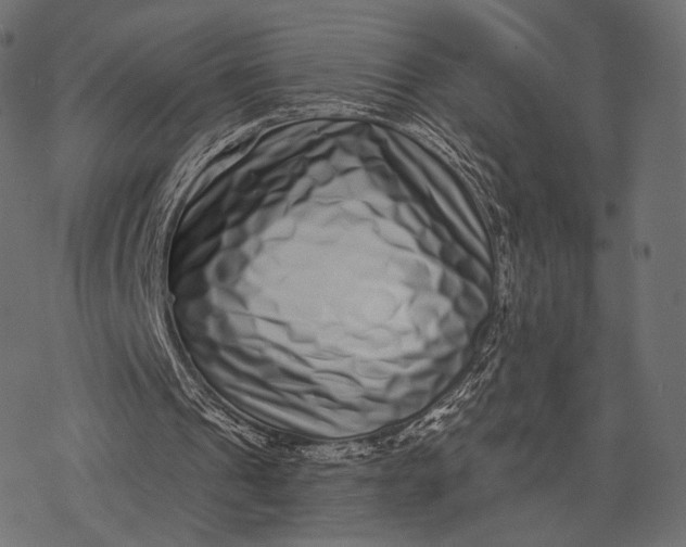 X0000077310241200611031647