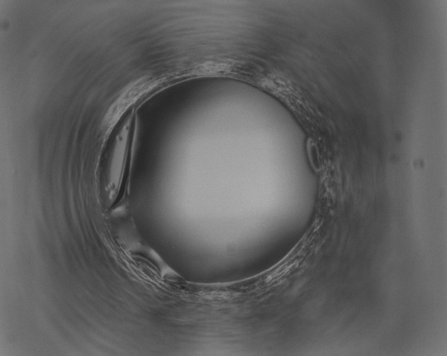 X0000077310242200611031647