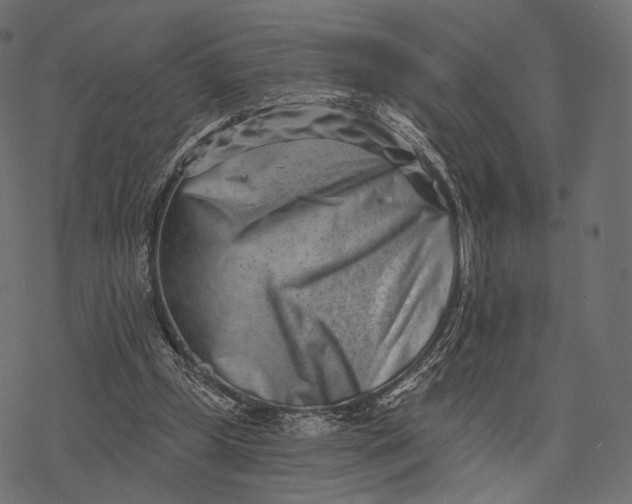 X0000077310249200611031647