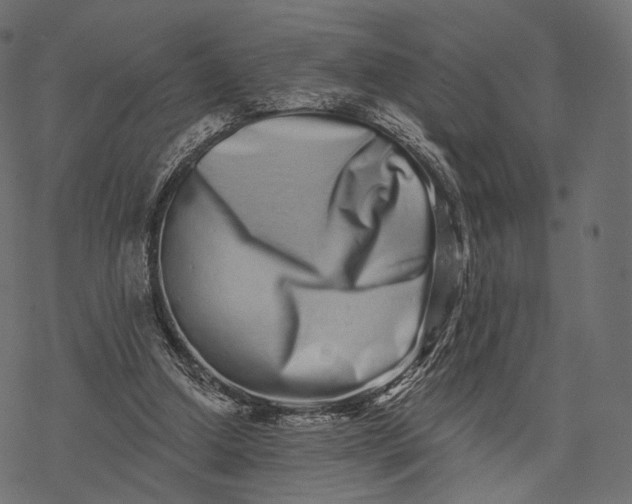 X0000077310250200611031647