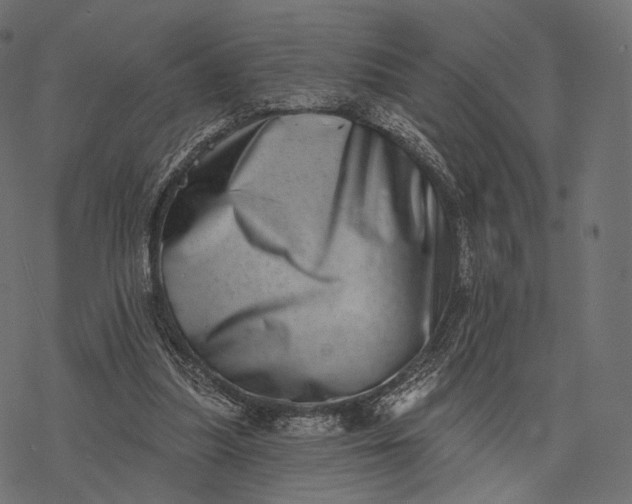 X0000077310251200611031647