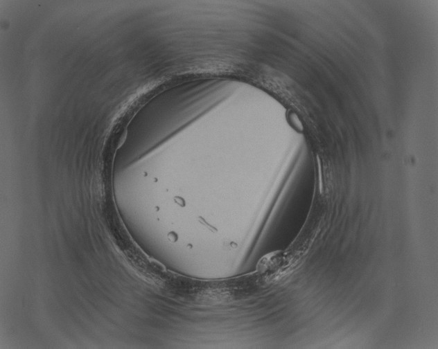 X0000077310252200611031647