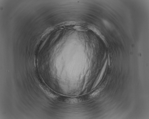 X0000077310253200611031647