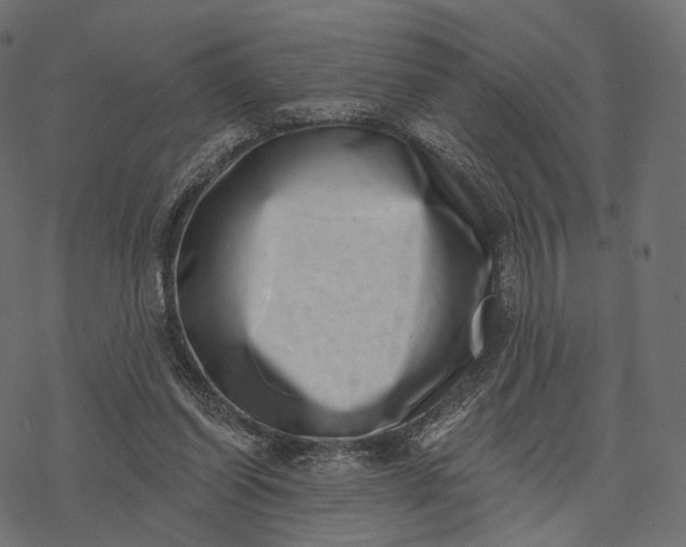 X0000077310254200611031647