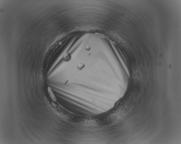 X0000077310256200611031647