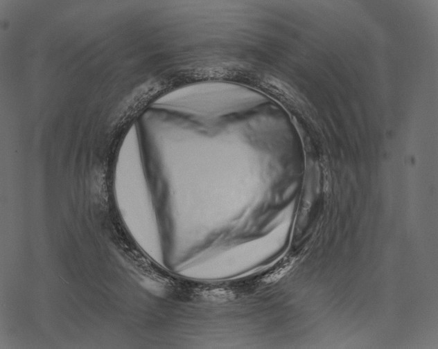 X0000077310258200611031648