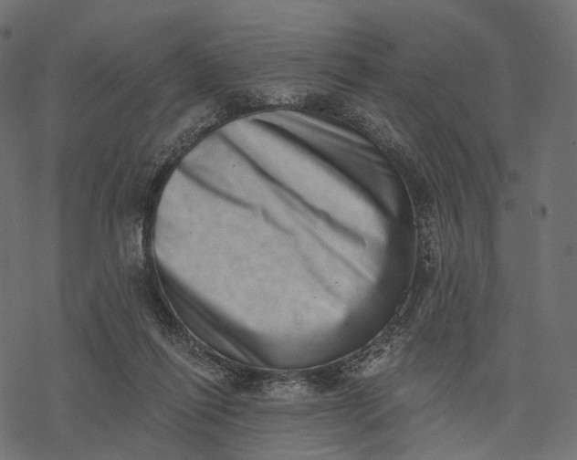 X0000077310262200611031648
