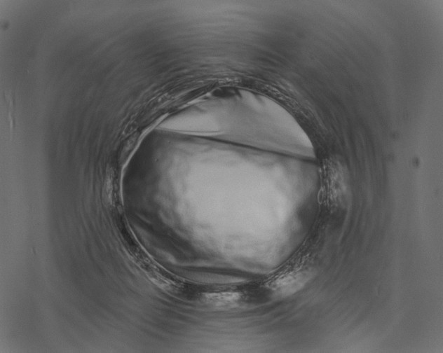 X0000077310266200611031648
