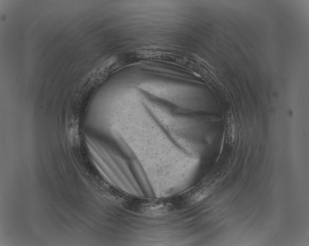 X0000077310267200611031648