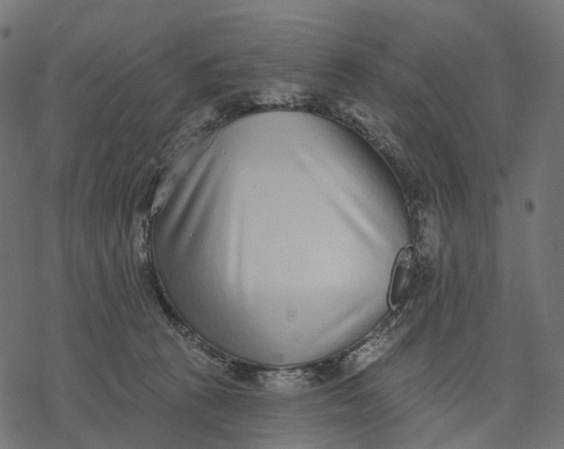 X0000077310273200611031648