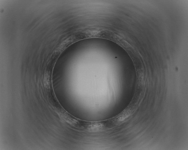 X0000077310274200611031648