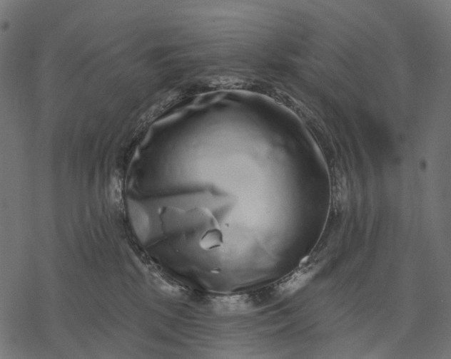 X0000077310281200611031648