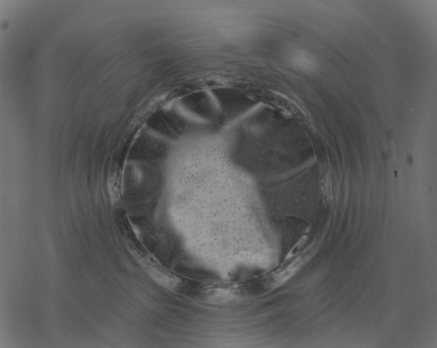 X0000077310285200611031648