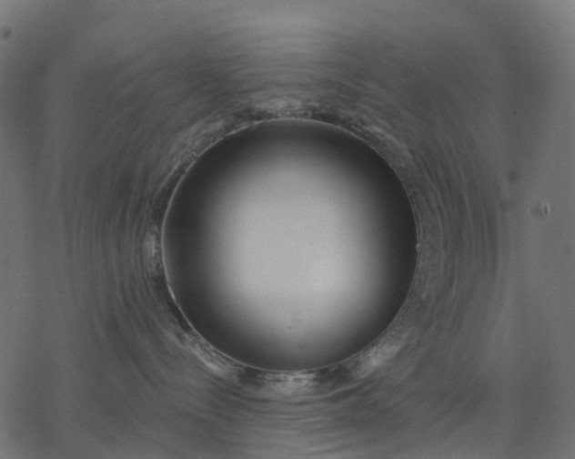 X0000077310288200611031648