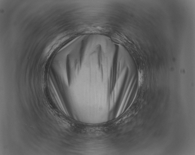 X0000077310291200611031647