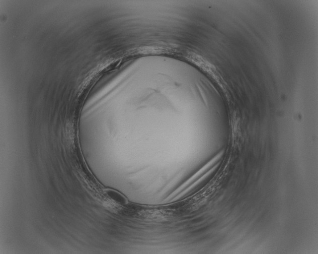 X0000077310297200611031647