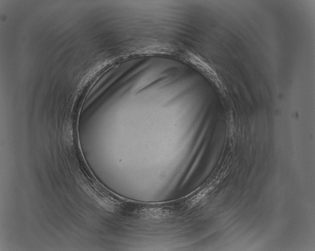 X0000077310298200611031647