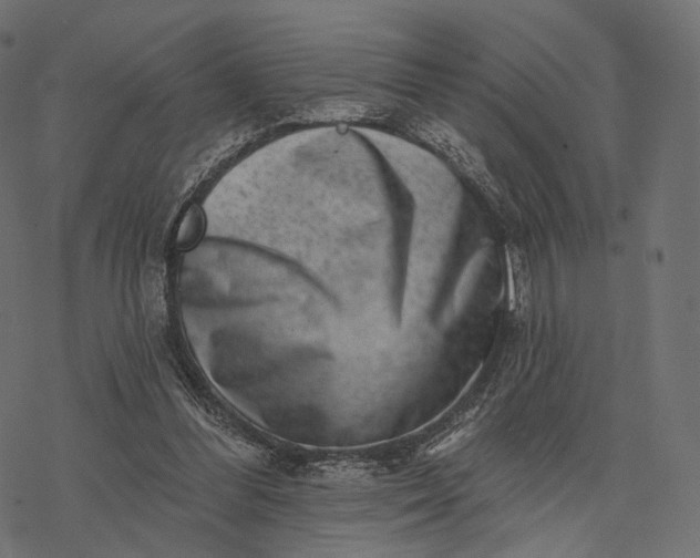X0000077310300200611031647
