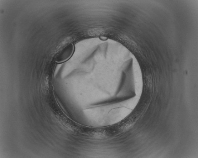 X0000077310308200611031647
