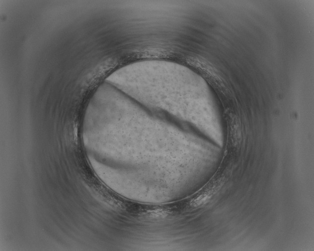 X0000077310310200611031647