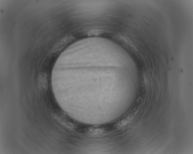 X0000077310311200611031647