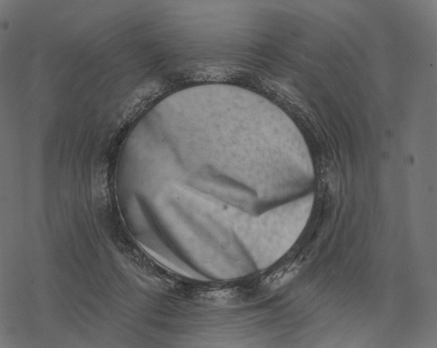 X0000077310312200611031647