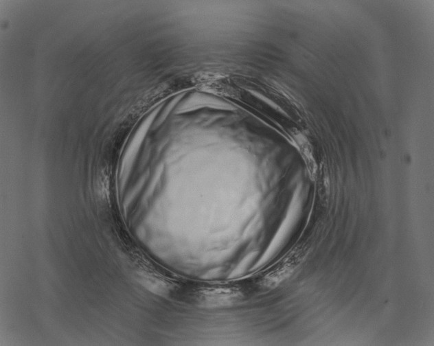 X0000077310315200611031647