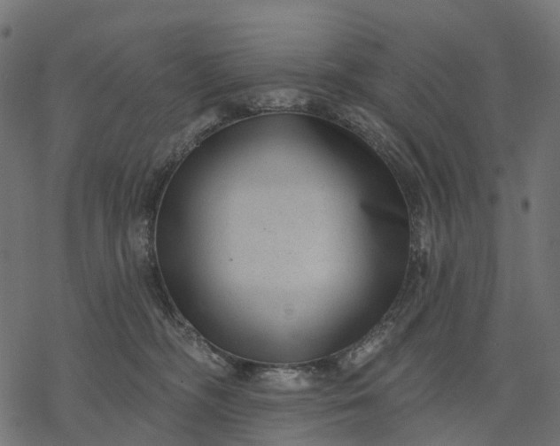 X0000077310326200611031647