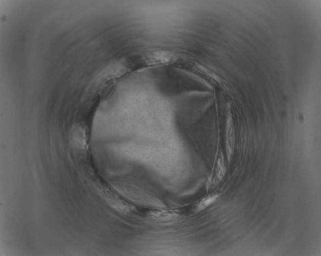 X0000077310331200611031647