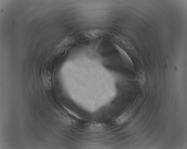 X0000077310332200611031647