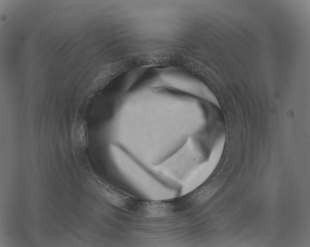 X0000077310336200611031646