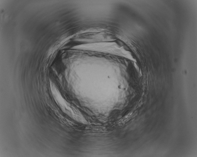 X0000077310337200611031646
