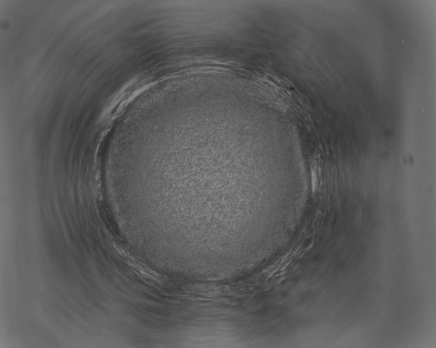 X0000077310339200611031646