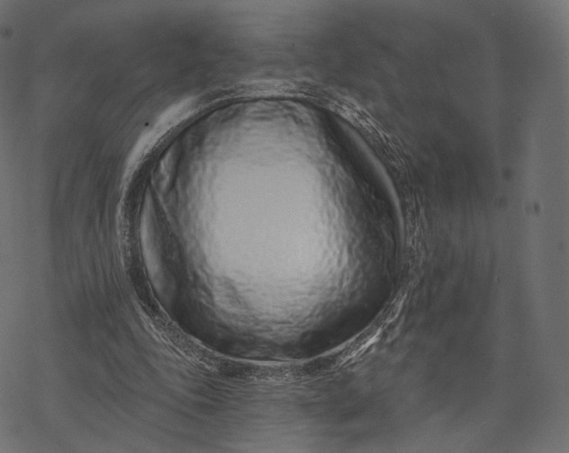 X0000077310343200611031646