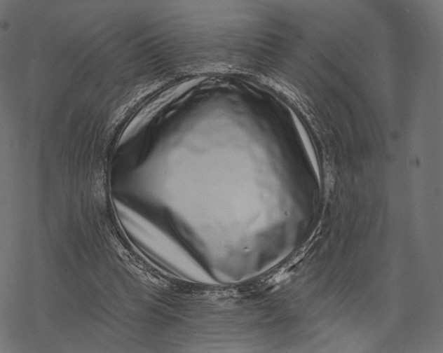 X0000077310345200611031646