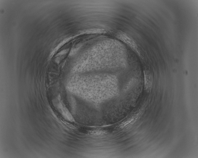 X0000077310348200611031646