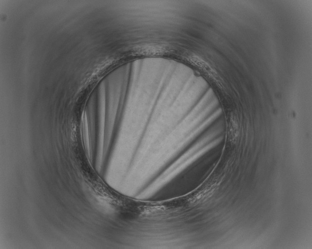 X0000077310355200611031646