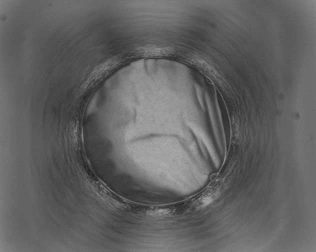 X0000077310357200611031646